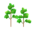 trees5