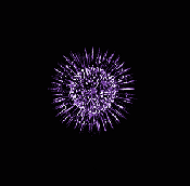 fireworks-animation-33-2