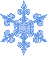 snowflake1