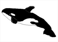 whale-clip-art-whale-clipart-9