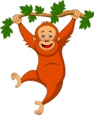 orangutan-clip-art-18599385-cute-orangutan-cartoon-hanging-on-a-tree-branch