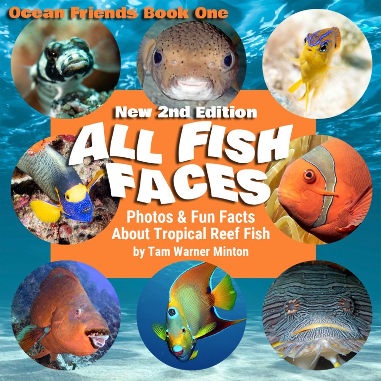 ALL FISH FACES | Always in the Middle…
